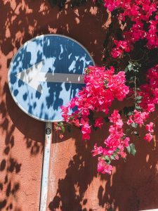 Wat te doen op Madeira