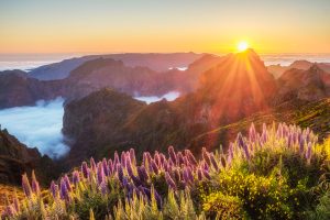Weer madeira juni
