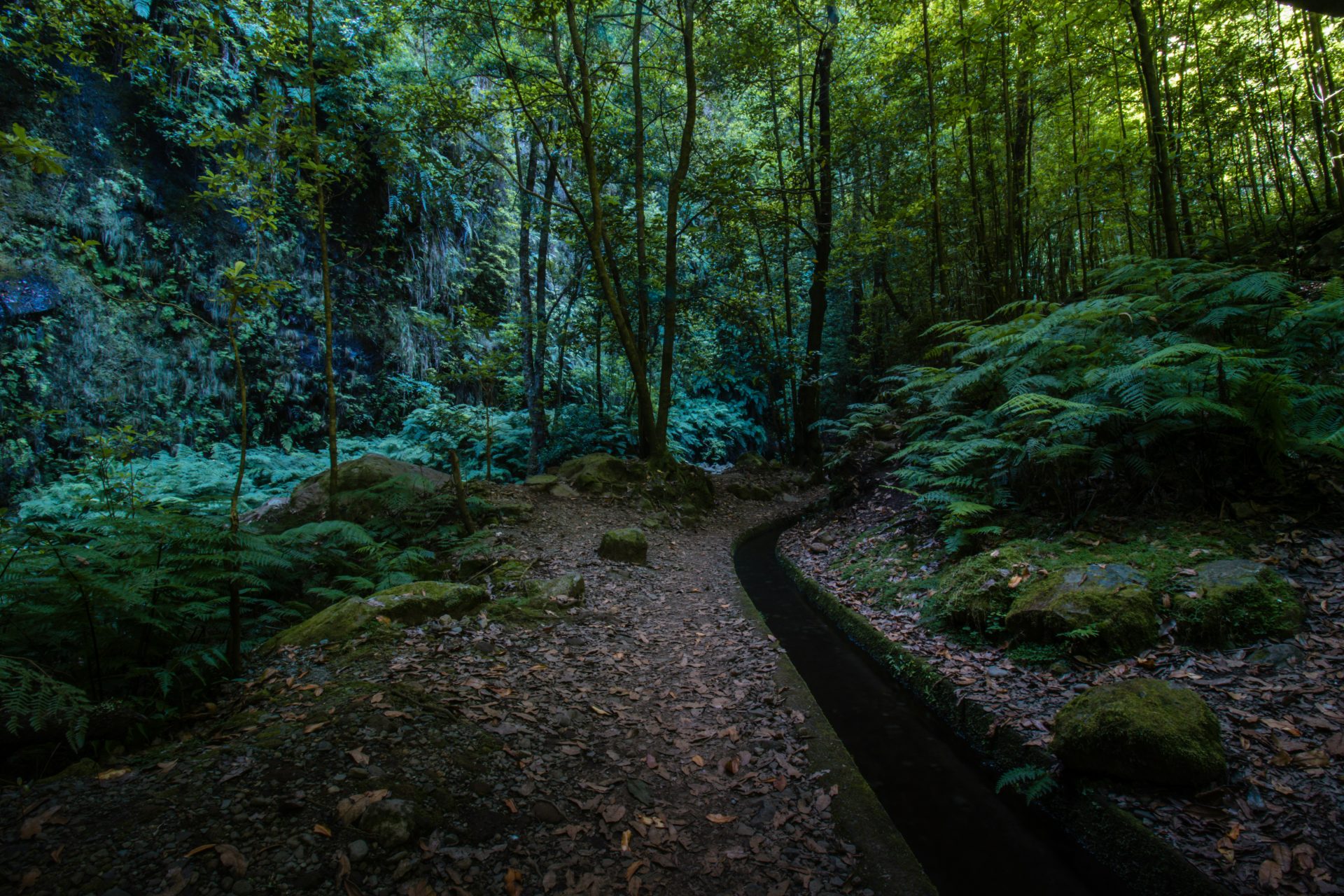 Madeira natuur